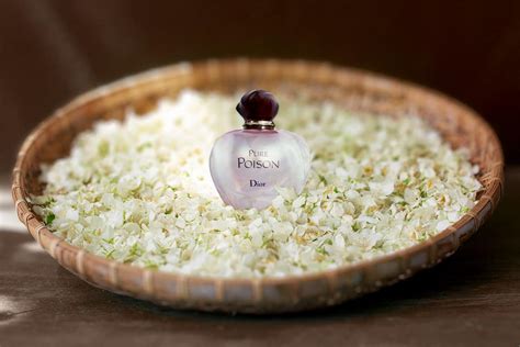 dior jasmine perfume|best jasmine perfume for ladies.